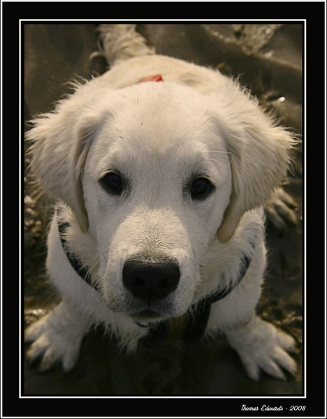 IMAGE: http://ThomasEdwards.smugmug.com/photos/246887611_rFhEs-L.jpg