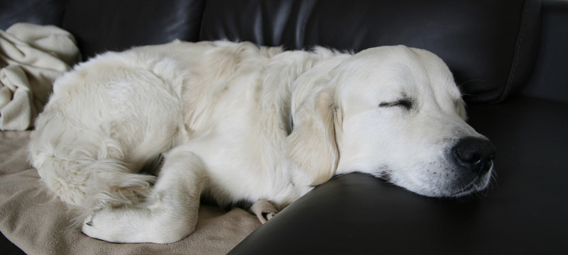 IMAGE: http://ThomasEdwards.smugmug.com/photos/330161192_YKUUR-L.jpg