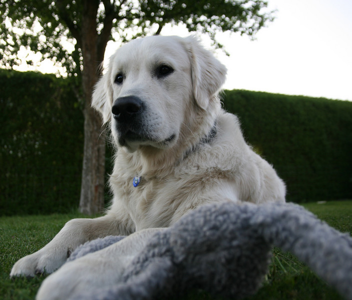 IMAGE: http://ThomasEdwards.smugmug.com/photos/330161782_KiUB2-L.jpg